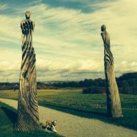 Фотоподборка за 21.10.2014