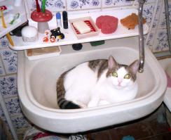 Любимое место  в жару :)