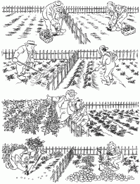 Карикатуры Гэри Ларсона — лучшего из смешных