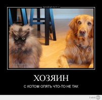 Котейка не смог пройти мимо 