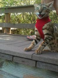 Чему это он так удивился?