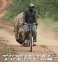 Рог носорога.
Стоит 55$ за грамм. По азиатским поверьям, порошок из рога носорога лечит практически от всех болезней...