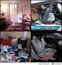 Главные отличия между мужчиной и женщиной