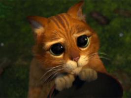 ну ну еще и глаза такие сделала. Работа у нее такая.