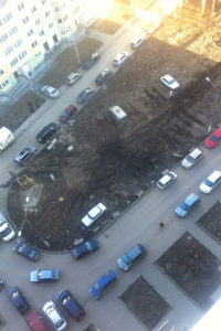 а вот так у нас во дворе водятлы пашню устроили.