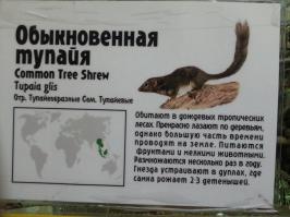 Антигламур 