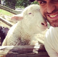 "кому и кобыла невеста"