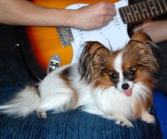 Забавная какая))А у меня свой языканец мелкий дома)))