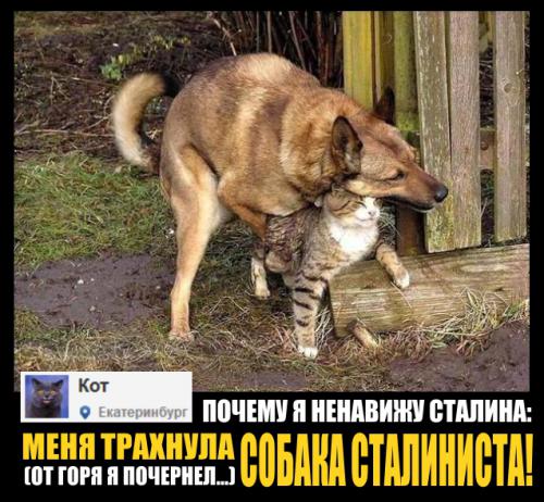 Личные вещи Иосифа Сталина