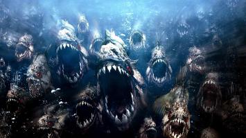 Автор забыл, верно, фотку вставить. Вот она: