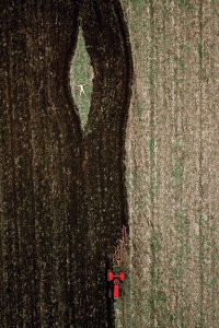 Фото из космоса: Земля — ты чертовски хороша!