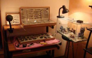 Залипнуть с лупами в руках на вечеринке ))))