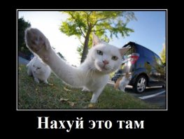 Лучшие фейлы прошедшей недели