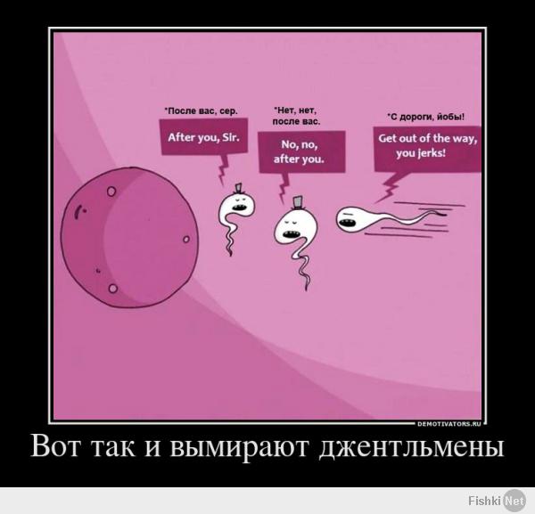 Фотографии Первой мировой запрещенные цензурой