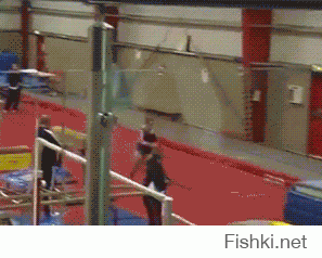 Полет шмеля