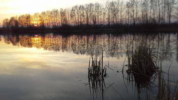 Чем хуже, пруд в Воронежской области.