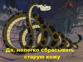 Неприятности, которые могут случиться с каждым