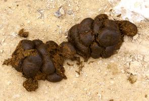 Сухпай НАЦГВАРДИИ УКРАИНЫ: