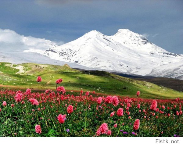 Японцы умеют украшать места обитания с эстетической гармонией с природой.В России тоже, по своему.Разные культуры,разная,но одинаково понятная красота для разных людей.