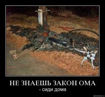 Десять тысяч вольт