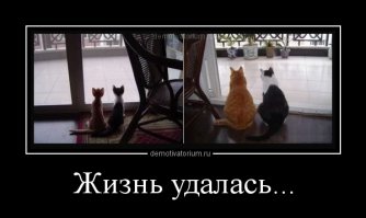 Демотиваторы