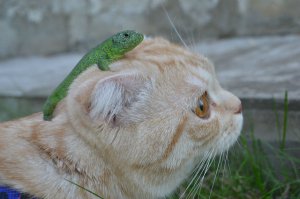 Мои "ребятки" тоже наслаждаются! С огромной радостью открывают дачный сезон!)))