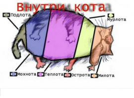 Отличный способ не замерзнуть в зимние холода