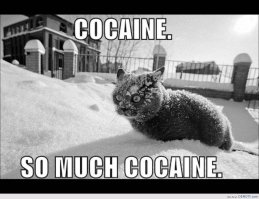 Сюрреалистические портреты животных, путешествующих по миру 