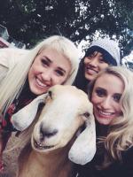 По мосту, что через речку, 
Ведет чабан своих...