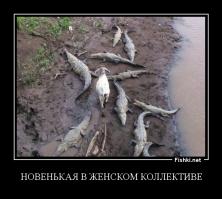Если я и пойду долиною смертной тени, не убоюсь зла...