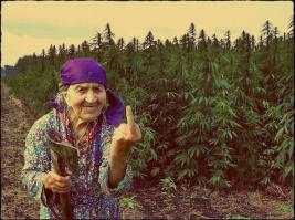 Доколе ж мы будем вымирать от спирта и жижи, которой его разбавляют!!! Какого хрена, спрашивается?? Исключительно в угоду христианской церкви, которая беспошлинно ввозит табак и алкоголь?? 
для справки - смертельная доза спирта - от 900 мл до 1 л на человека в сутки, а что бы убить себя с помощью марихуаны человеку нужно выкурить 680 кг за 14 мин!!!!
Ну а про последствия алкогольного опьянения для окружающих и самого себя можно и не говорить - все и так в курсе. А кто еще не в курсе - посмотрите НТВ, там все очень наглядненько))