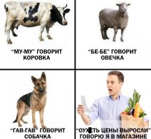 Смешные надписи и объявления