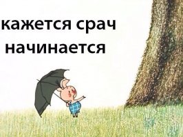 Находки археологов из Сибири