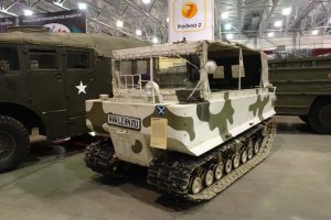 Здорово! Кстати, а это  что за зверь?