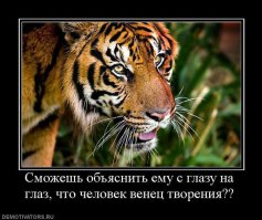 Не добавить, не отнять!