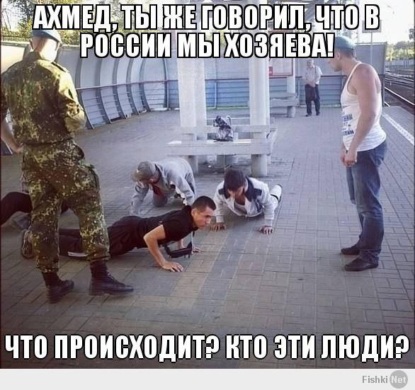 несколько совсем нетолерантных мыслей 