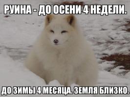 Солянка для Майдана. Часть 37