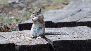 в прошлую субботу у нас на Арахлее (озеро такое в Забайкалье)