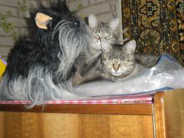 Сон, это благо!