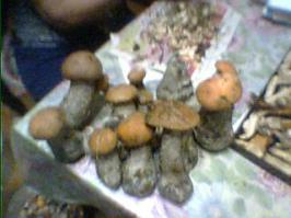 То же Тверская..