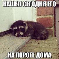 Фишкина солянка за 29.05.2014