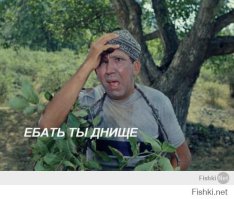 Лосенка сбила машина