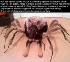 Там ещё текст был к фотке