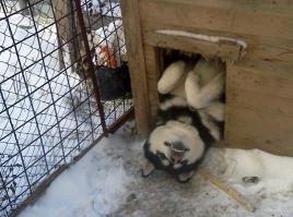 а так могёшь?