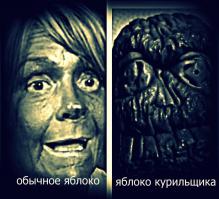 Сушеная голова из яблока 