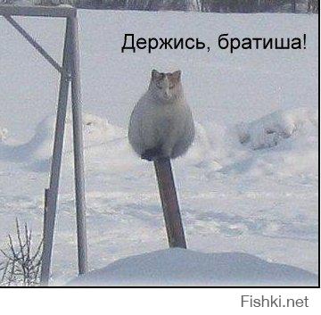 Раньше было проще )