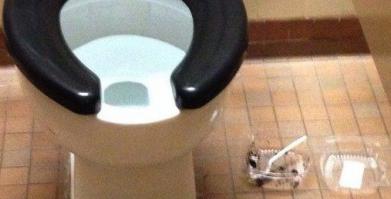 Ну здесь все ясно, кишка-то прямая