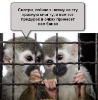 Девочка, которая получает подарки от птиц