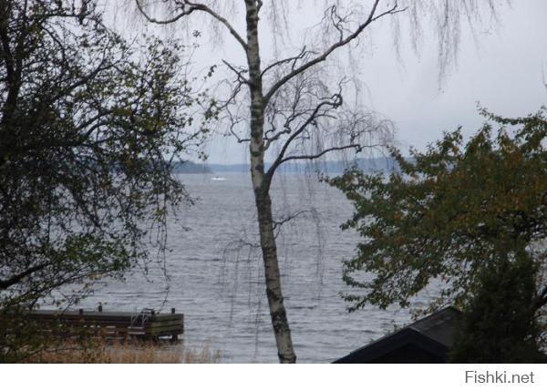 вот это фото представили шведские военные, на котором, как они утверждают, неопознанное судно, но что это за судно и кому оно пренадлежит - неизвестно. так что ищите и обрящете...