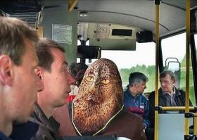 Дочери ковра